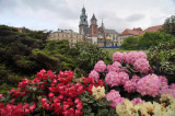 Krakow castle