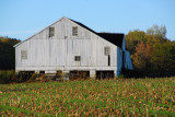 Fall Barn