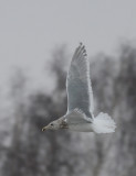 IMG_4715.16.02.jpg