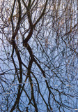 Burren Reflections