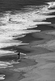 Pacific Shore