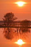 Spring Floods