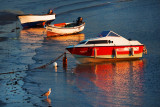 Rising Tide