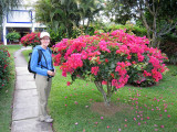 Garden walk