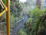 Villa Lapas bridge