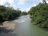 Selva Verde River view