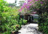 Asa Wright entrance