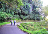 Blanchisseuse road birding1