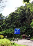 Blanchisseuse road birding2