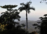 Blanchisseuse road view2