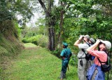 Birding at Cuffie River