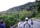 Main Ridge Birding with Newton George