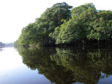 Cuero y Salado Wildlife Refuge