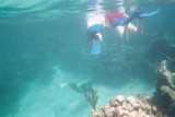 Snorkeling