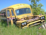 Boneyard  9626
