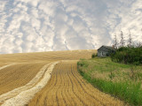 Prairie landscapes