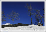 SWITZERLAND  - BERNESE OBERLAND - GRINDELWALD