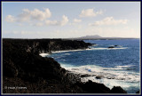 SPAIN - ISLAND OF LANZAROTE - PARQUE NACIONAL DE TIMANFAYA