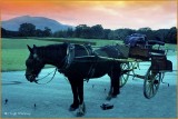  IRELAND - CO.KERRY - MONTAGE OF INCH STRAND AND JAUNTING CAR AT MUCKROSS HOUSE IN KILLARNEY