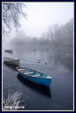 Ireland - Co Sligo - Sligo - Frosty morning on Lough Gill at Doorly Park