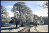  Ireland - Co.Sligo - Markree Castle grounds