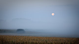 Full Moon in Fog