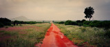 Red Dirt Road Panorama