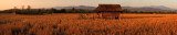Laos pbase header.jpg