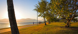 Cairns Esplanade at sunrise contre-jour