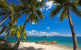 Palm Trees at Muggy Muggy Beach