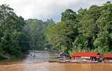 National Park Taman Negara