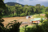 National Park Taman Negara in sunset