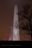 The Washington Monument