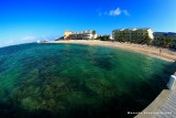 Reef Resort