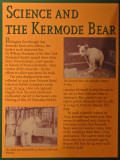 Sign About Kermode Bears