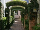 Hedge Archway