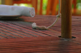 Rope on Table