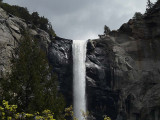 Top of Bridalveil