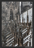 Cologne Cathedral in Snow Flurry