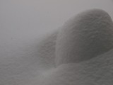 Snow-Feb-2010-008.jpg