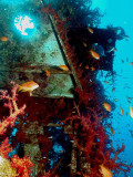 Looking Up The Wreck of The Satil