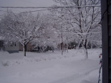 snowstorm 2009