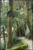 Path down from Moorish Castle 1