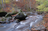 Birks of Aberfeldy