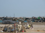 Fishing boats