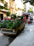 Flowering car