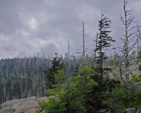 gsmnp1_010734a.jpg