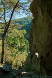 DSC42274.jpg