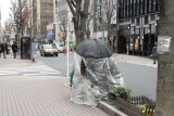Ginza Homeless 006.jpg