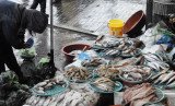 Fishmonger 027.jpg